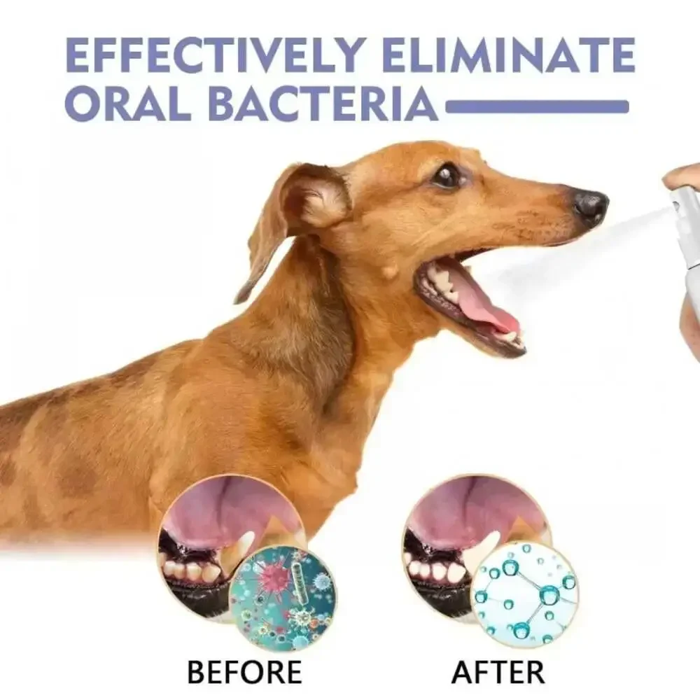 Pet Teeth Cleaning Spray Oral Care Remove Tooth Stains Keep Fresh Breath for Cat